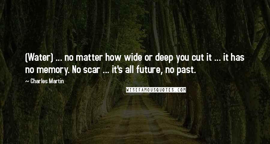 Charles Martin Quotes: (Water) ... no matter how wide or deep you cut it ... it has no memory. No scar ... it's all future, no past.