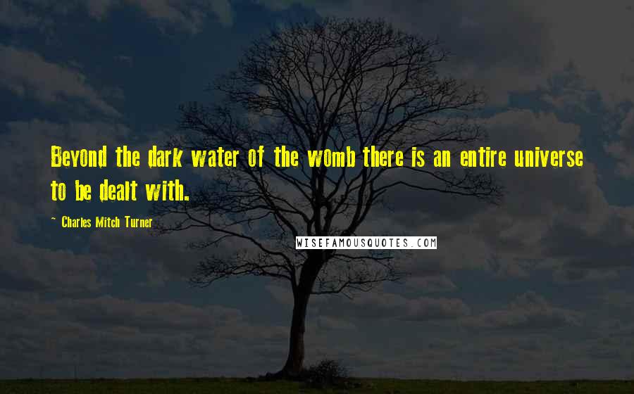 Charles Mitch Turner Quotes: Beyond the dark water of the womb there is an entire universe to be dealt with.