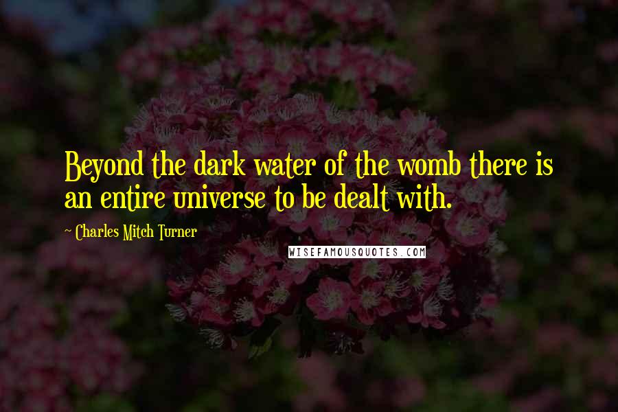 Charles Mitch Turner Quotes: Beyond the dark water of the womb there is an entire universe to be dealt with.