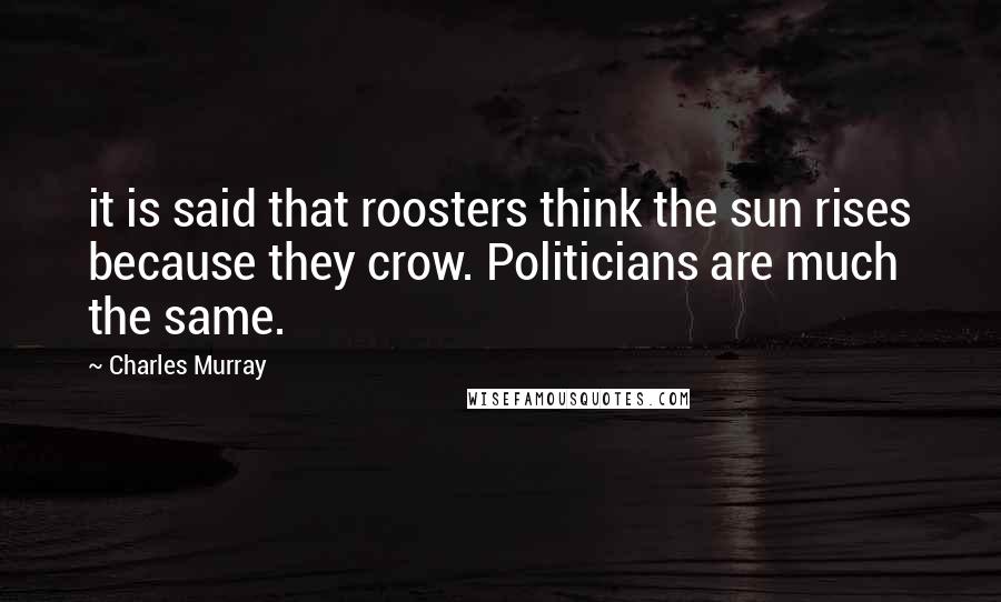 Charles Murray Quotes: it is said that roosters think the sun rises because they crow. Politicians are much the same.