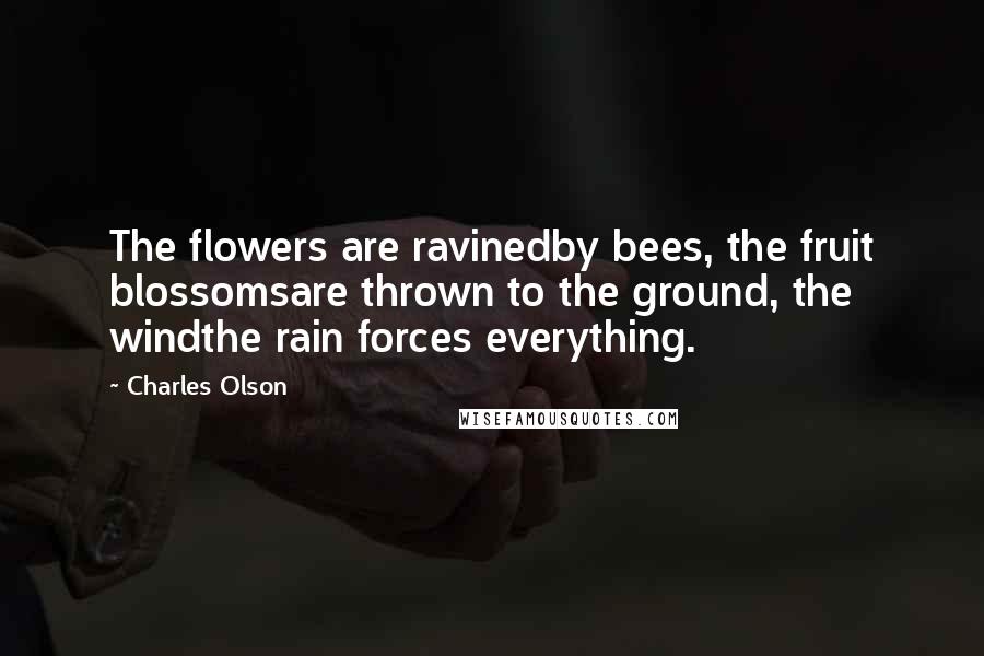 Charles Olson Quotes: The flowers are ravinedby bees, the fruit blossomsare thrown to the ground, the windthe rain forces everything.