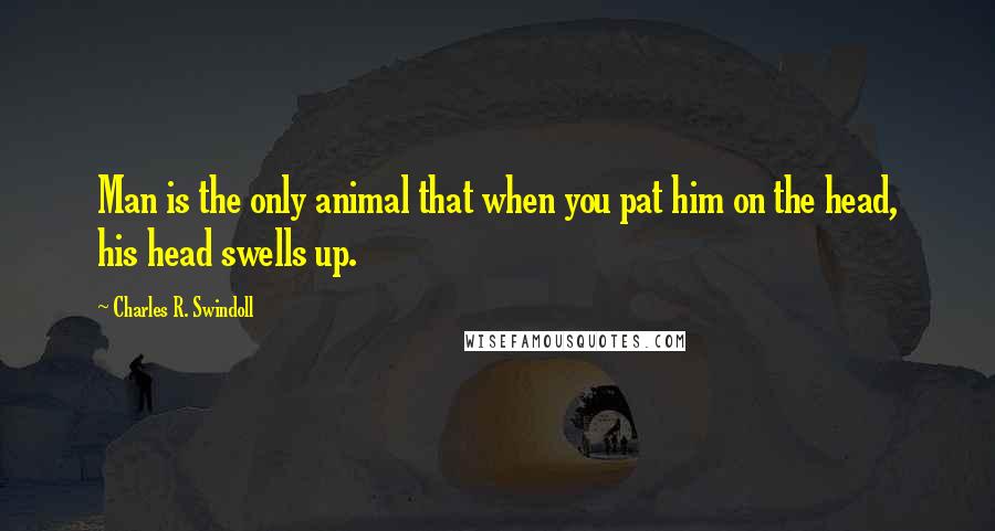 Charles R. Swindoll Quotes: Man is the only animal that when you pat him on the head, his head swells up.