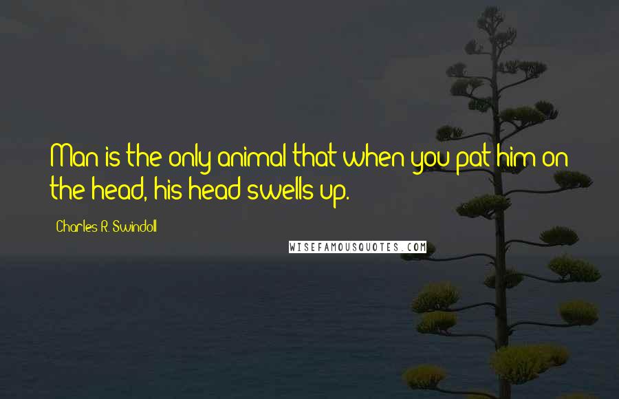 Charles R. Swindoll Quotes: Man is the only animal that when you pat him on the head, his head swells up.