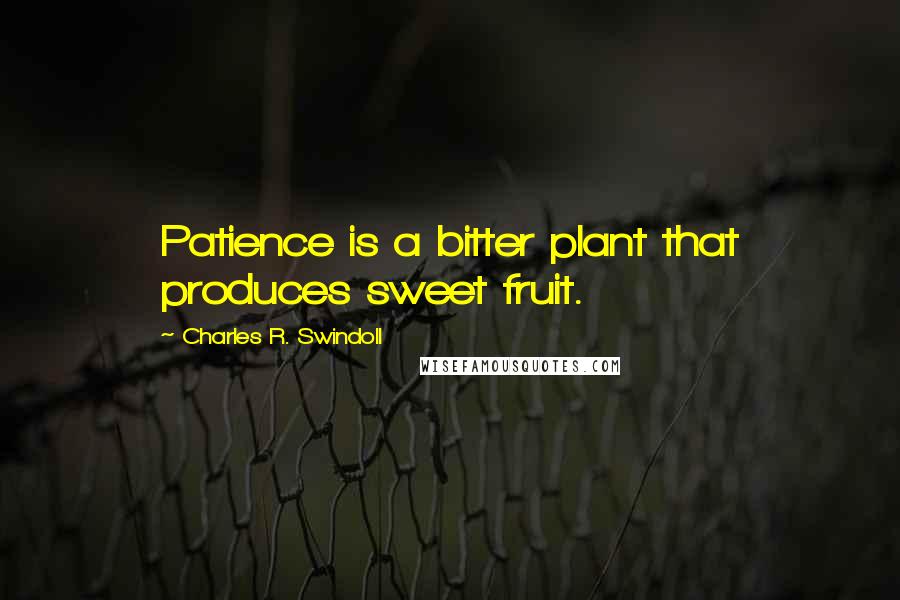 Charles R. Swindoll Quotes: Patience is a bitter plant that produces sweet fruit.