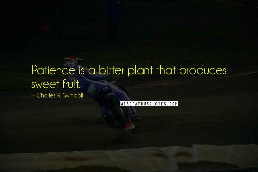 Charles R. Swindoll Quotes: Patience is a bitter plant that produces sweet fruit.