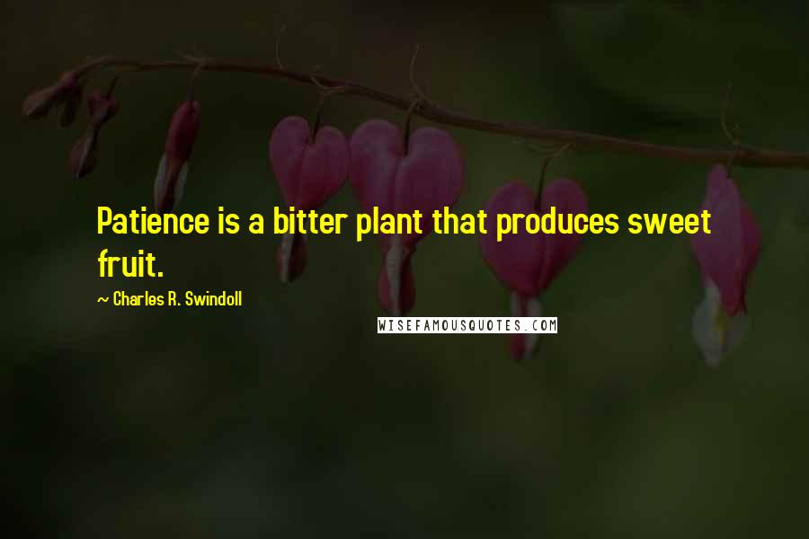 Charles R. Swindoll Quotes: Patience is a bitter plant that produces sweet fruit.