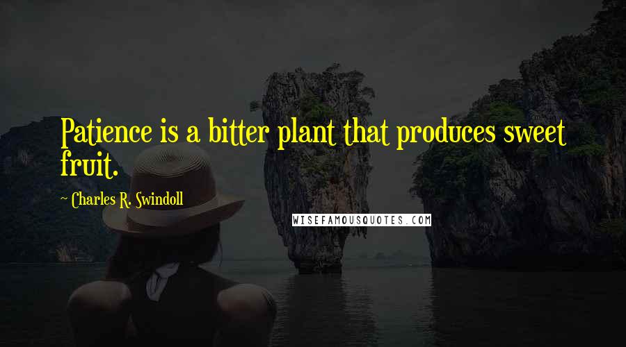 Charles R. Swindoll Quotes: Patience is a bitter plant that produces sweet fruit.