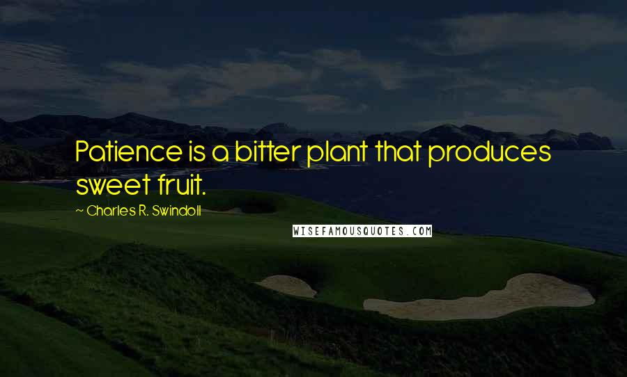 Charles R. Swindoll Quotes: Patience is a bitter plant that produces sweet fruit.