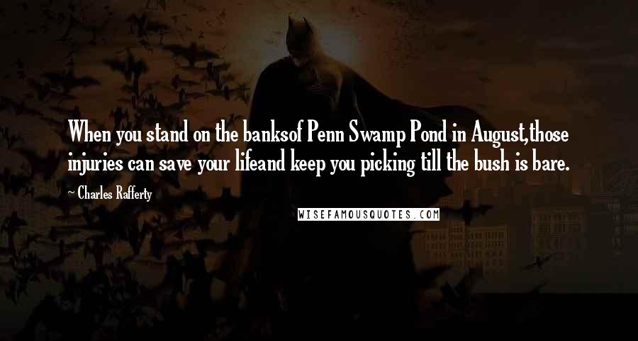 Charles Rafferty Quotes: When you stand on the banksof Penn Swamp Pond in August,those injuries can save your lifeand keep you picking till the bush is bare.