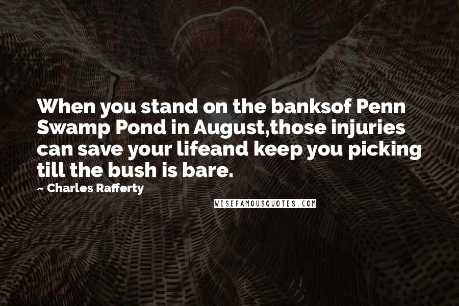 Charles Rafferty Quotes: When you stand on the banksof Penn Swamp Pond in August,those injuries can save your lifeand keep you picking till the bush is bare.