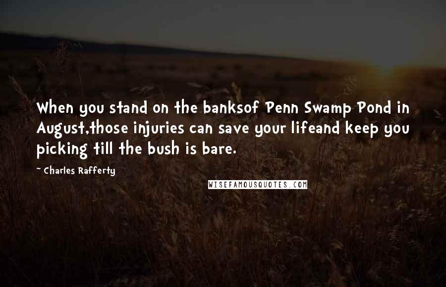 Charles Rafferty Quotes: When you stand on the banksof Penn Swamp Pond in August,those injuries can save your lifeand keep you picking till the bush is bare.