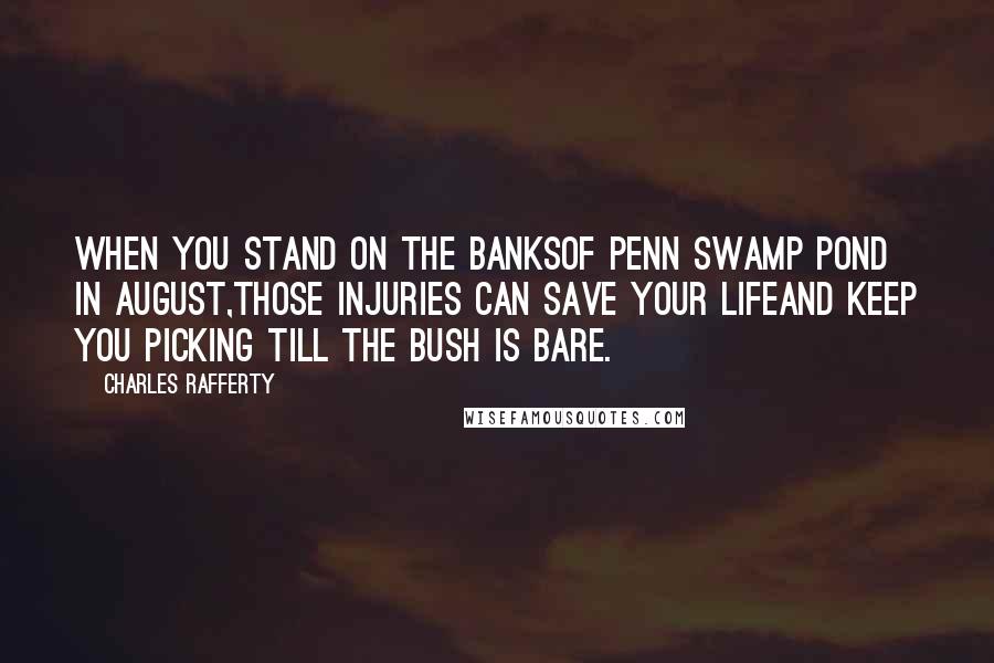 Charles Rafferty Quotes: When you stand on the banksof Penn Swamp Pond in August,those injuries can save your lifeand keep you picking till the bush is bare.