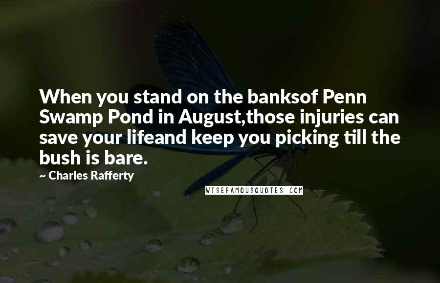 Charles Rafferty Quotes: When you stand on the banksof Penn Swamp Pond in August,those injuries can save your lifeand keep you picking till the bush is bare.