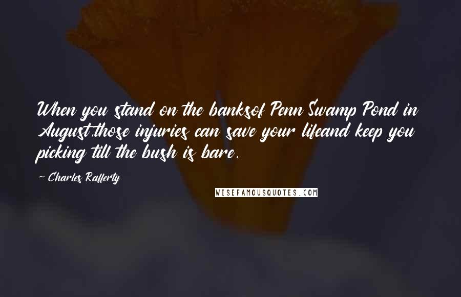 Charles Rafferty Quotes: When you stand on the banksof Penn Swamp Pond in August,those injuries can save your lifeand keep you picking till the bush is bare.