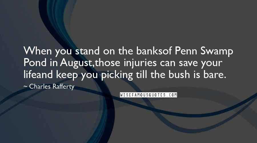 Charles Rafferty Quotes: When you stand on the banksof Penn Swamp Pond in August,those injuries can save your lifeand keep you picking till the bush is bare.