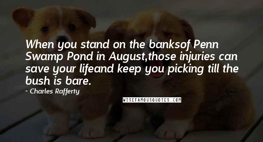 Charles Rafferty Quotes: When you stand on the banksof Penn Swamp Pond in August,those injuries can save your lifeand keep you picking till the bush is bare.