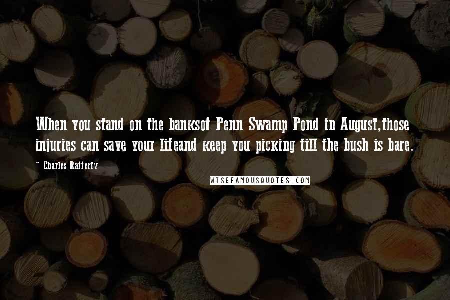 Charles Rafferty Quotes: When you stand on the banksof Penn Swamp Pond in August,those injuries can save your lifeand keep you picking till the bush is bare.