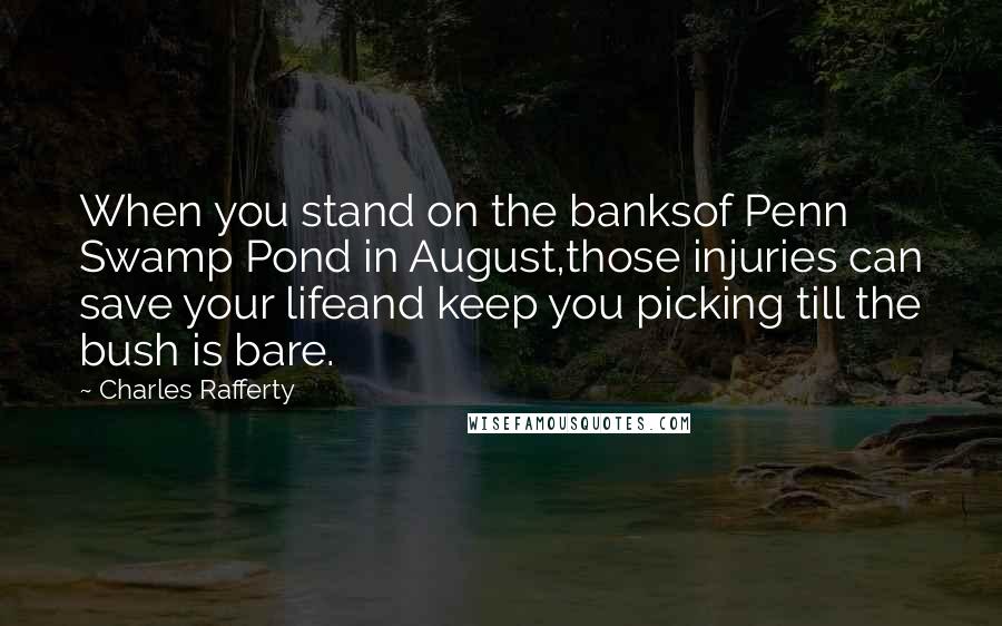 Charles Rafferty Quotes: When you stand on the banksof Penn Swamp Pond in August,those injuries can save your lifeand keep you picking till the bush is bare.