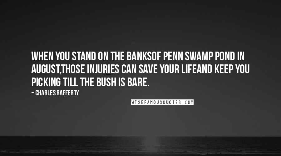 Charles Rafferty Quotes: When you stand on the banksof Penn Swamp Pond in August,those injuries can save your lifeand keep you picking till the bush is bare.