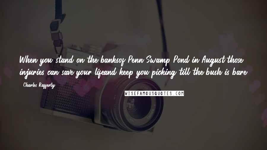 Charles Rafferty Quotes: When you stand on the banksof Penn Swamp Pond in August,those injuries can save your lifeand keep you picking till the bush is bare.