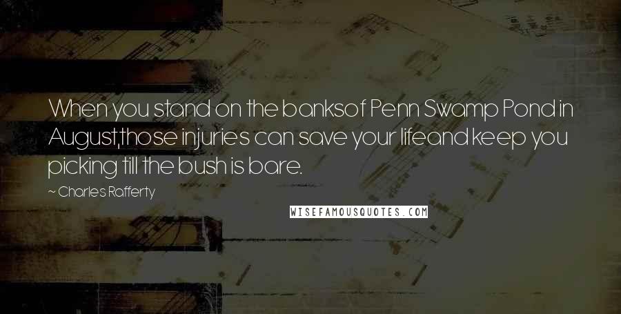 Charles Rafferty Quotes: When you stand on the banksof Penn Swamp Pond in August,those injuries can save your lifeand keep you picking till the bush is bare.