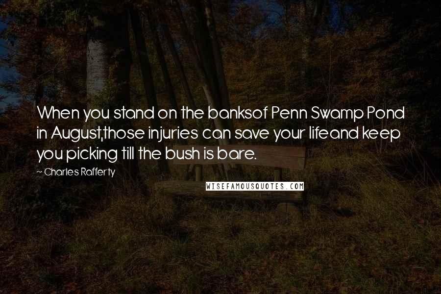 Charles Rafferty Quotes: When you stand on the banksof Penn Swamp Pond in August,those injuries can save your lifeand keep you picking till the bush is bare.