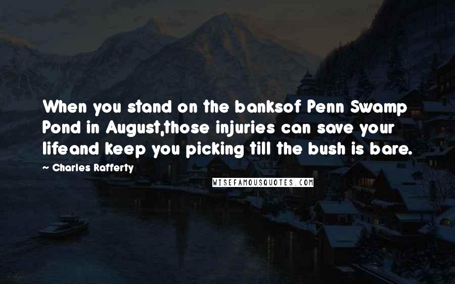 Charles Rafferty Quotes: When you stand on the banksof Penn Swamp Pond in August,those injuries can save your lifeand keep you picking till the bush is bare.
