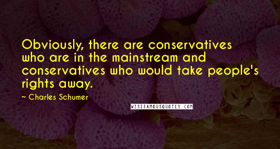 Charles Schumer Quotes: Obviously, there are conservatives who are in the mainstream and conservatives who would take people's rights away.