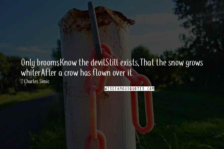 Charles Simic Quotes: Only broomsKnow the devilStill exists,That the snow grows whiterAfter a crow has flown over it