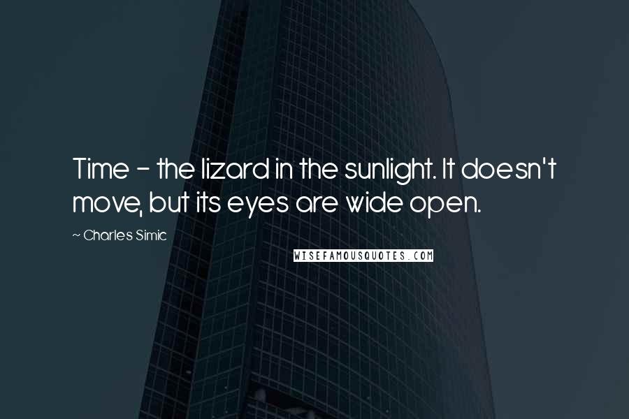 Charles Simic Quotes: Time - the lizard in the sunlight. It doesn't move, but its eyes are wide open.