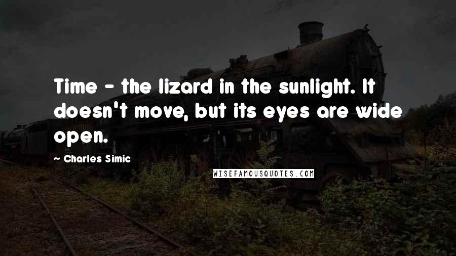Charles Simic Quotes: Time - the lizard in the sunlight. It doesn't move, but its eyes are wide open.