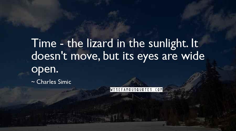 Charles Simic Quotes: Time - the lizard in the sunlight. It doesn't move, but its eyes are wide open.