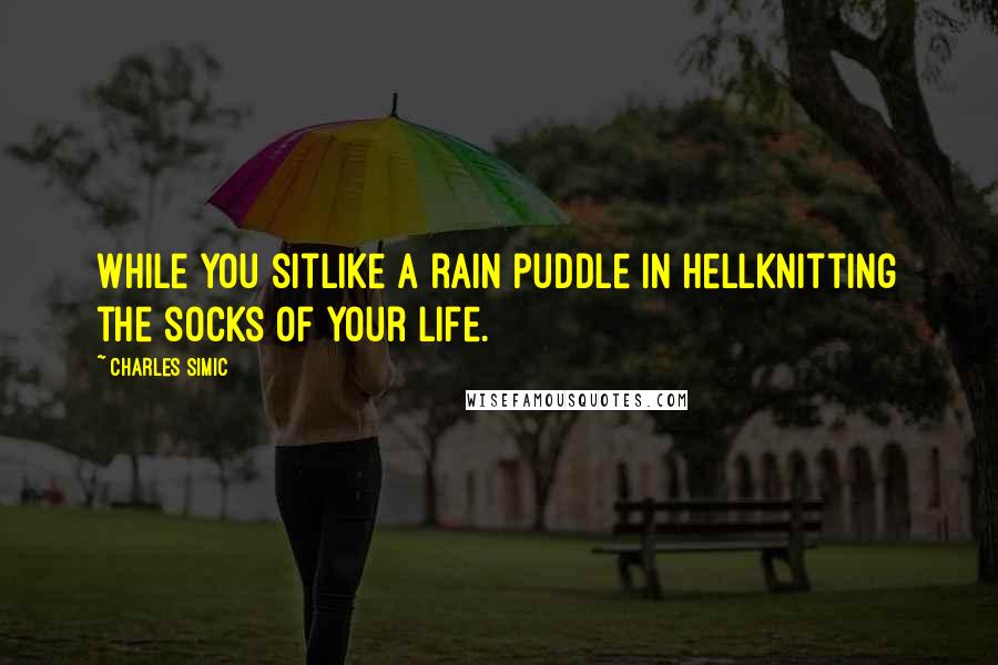 Charles Simic Quotes: While you sitLike a rain puddle in hellKnitting the socks Of your life.