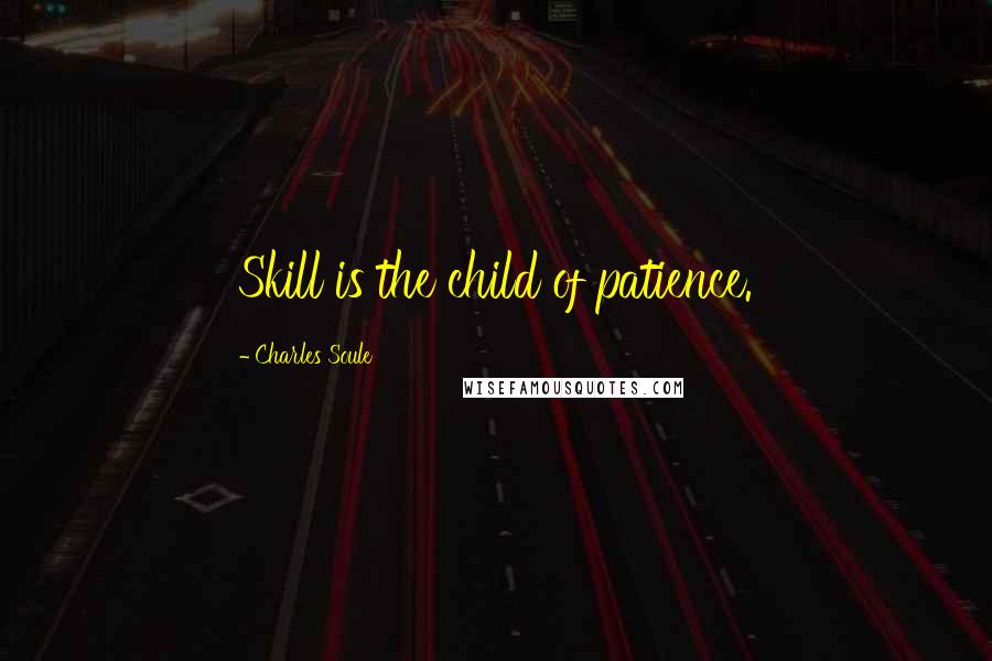 Charles Soule Quotes: Skill is the child of patience.