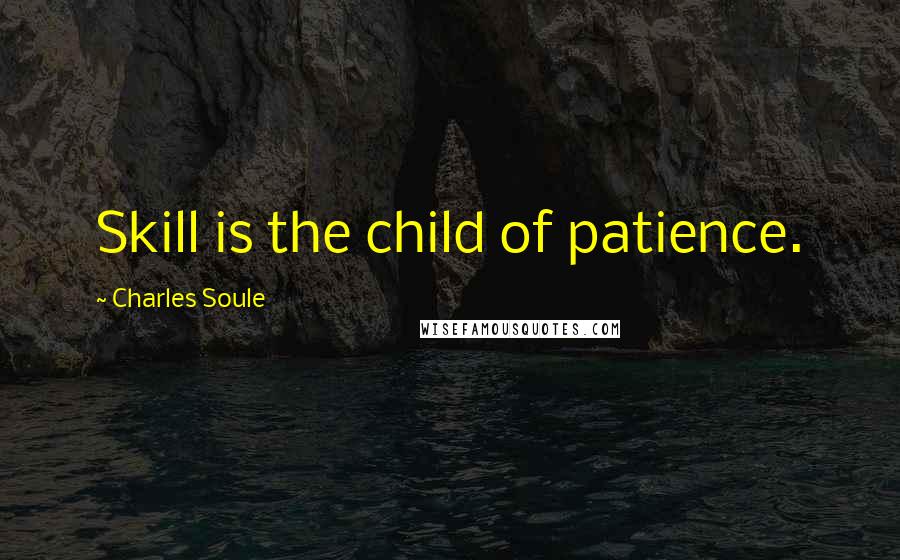 Charles Soule Quotes: Skill is the child of patience.