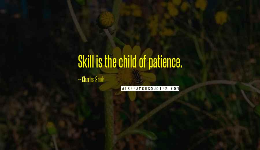 Charles Soule Quotes: Skill is the child of patience.