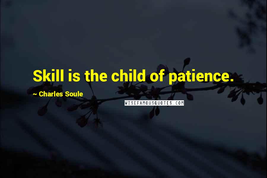 Charles Soule Quotes: Skill is the child of patience.