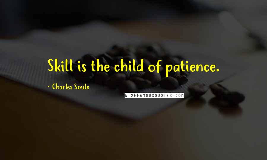 Charles Soule Quotes: Skill is the child of patience.