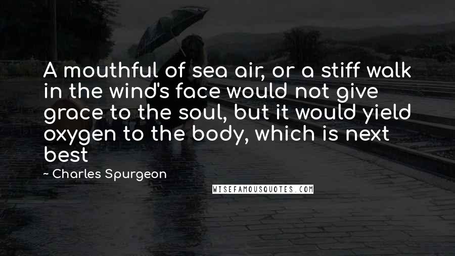 Charles Spurgeon Quotes: A mouthful of sea air, or a stiff walk in the wind's face would not give grace to the soul, but it would yield oxygen to the body, which is next best