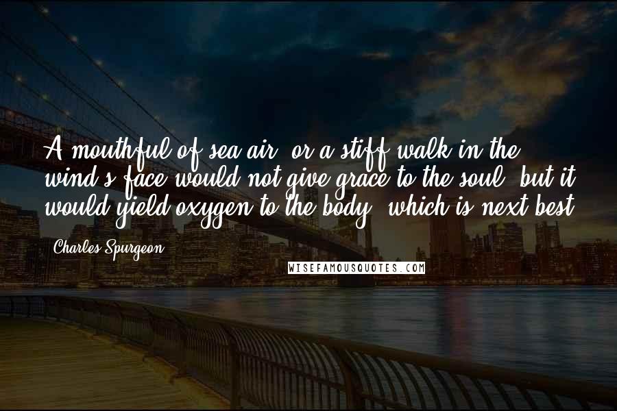 Charles Spurgeon Quotes: A mouthful of sea air, or a stiff walk in the wind's face would not give grace to the soul, but it would yield oxygen to the body, which is next best