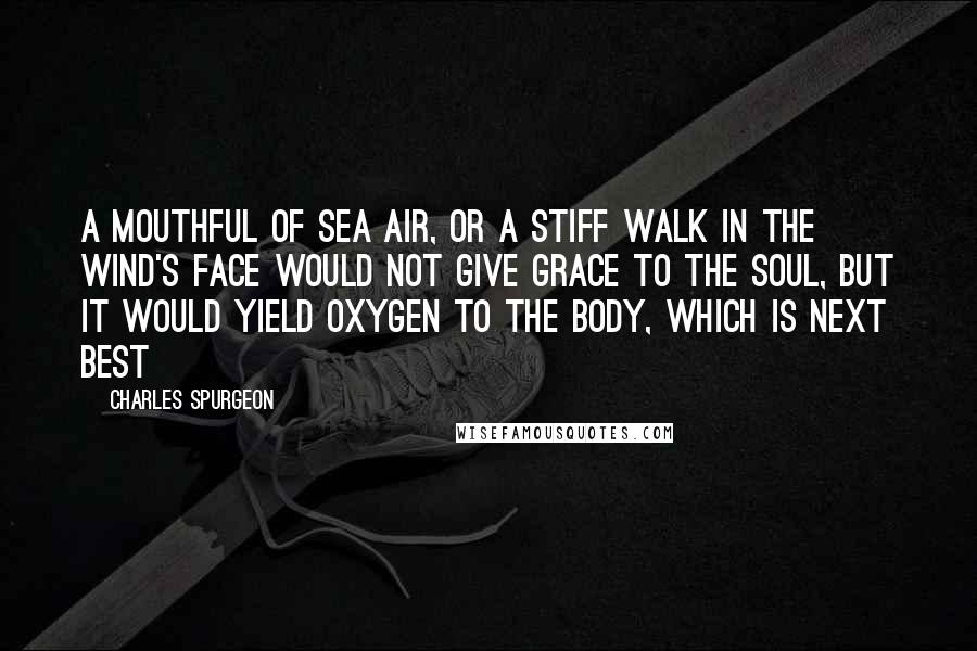 Charles Spurgeon Quotes: A mouthful of sea air, or a stiff walk in the wind's face would not give grace to the soul, but it would yield oxygen to the body, which is next best