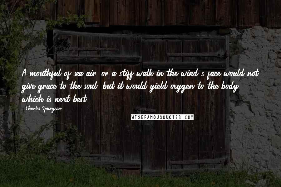 Charles Spurgeon Quotes: A mouthful of sea air, or a stiff walk in the wind's face would not give grace to the soul, but it would yield oxygen to the body, which is next best