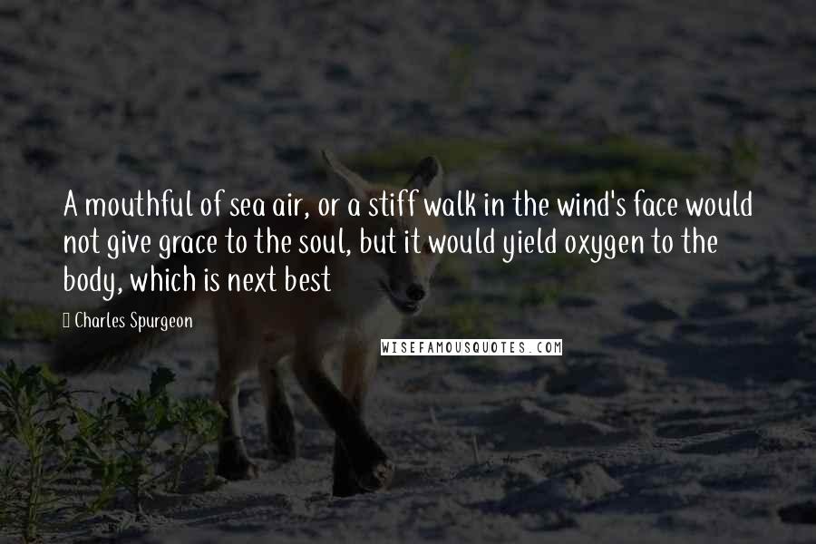 Charles Spurgeon Quotes: A mouthful of sea air, or a stiff walk in the wind's face would not give grace to the soul, but it would yield oxygen to the body, which is next best