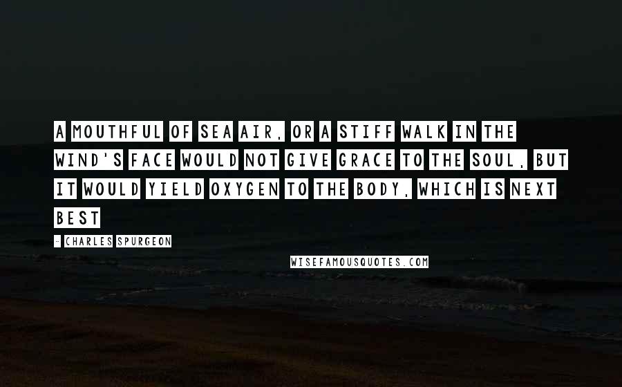 Charles Spurgeon Quotes: A mouthful of sea air, or a stiff walk in the wind's face would not give grace to the soul, but it would yield oxygen to the body, which is next best