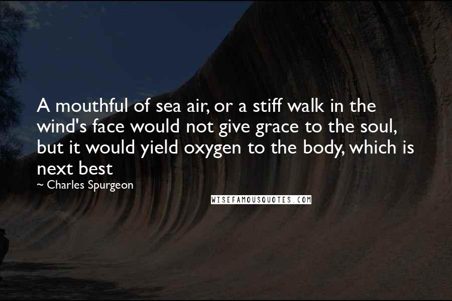 Charles Spurgeon Quotes: A mouthful of sea air, or a stiff walk in the wind's face would not give grace to the soul, but it would yield oxygen to the body, which is next best