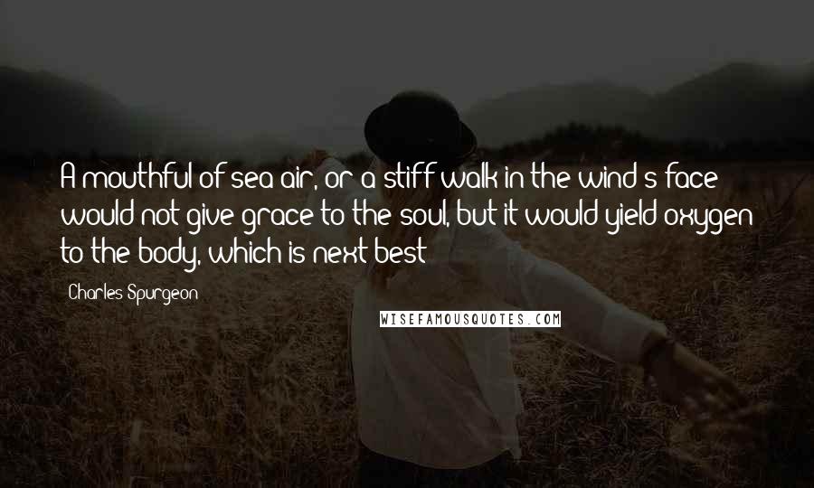 Charles Spurgeon Quotes: A mouthful of sea air, or a stiff walk in the wind's face would not give grace to the soul, but it would yield oxygen to the body, which is next best
