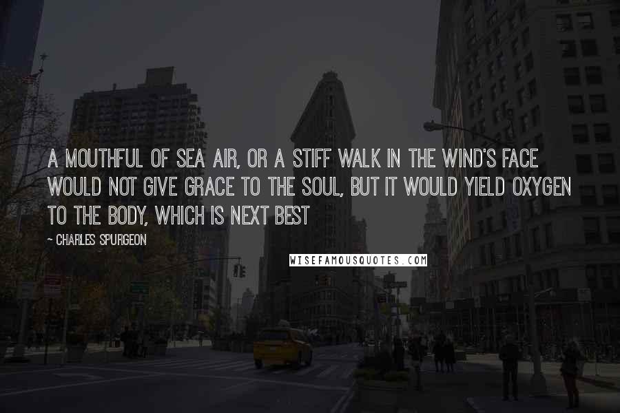 Charles Spurgeon Quotes: A mouthful of sea air, or a stiff walk in the wind's face would not give grace to the soul, but it would yield oxygen to the body, which is next best
