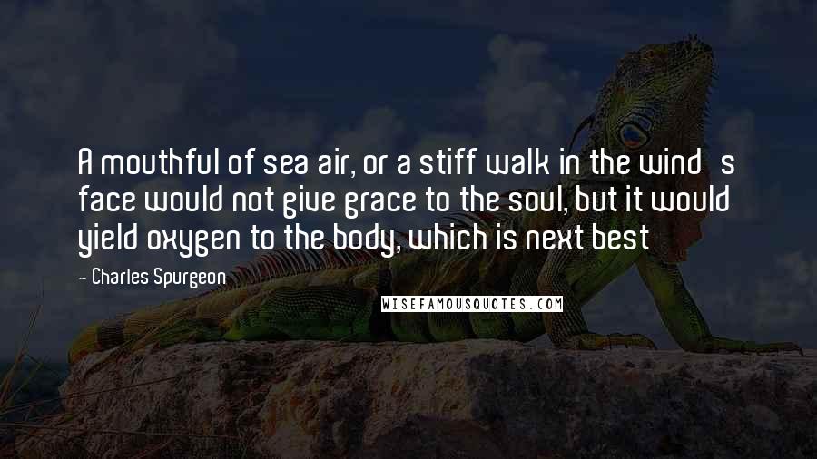 Charles Spurgeon Quotes: A mouthful of sea air, or a stiff walk in the wind's face would not give grace to the soul, but it would yield oxygen to the body, which is next best