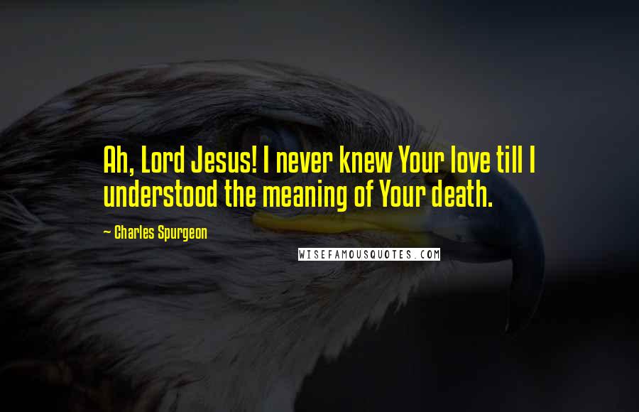 Charles Spurgeon Quotes: Ah, Lord Jesus! I never knew Your love till I understood the meaning of Your death.