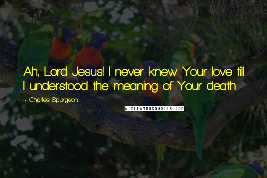 Charles Spurgeon Quotes: Ah, Lord Jesus! I never knew Your love till I understood the meaning of Your death.